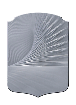 Silver Player badge